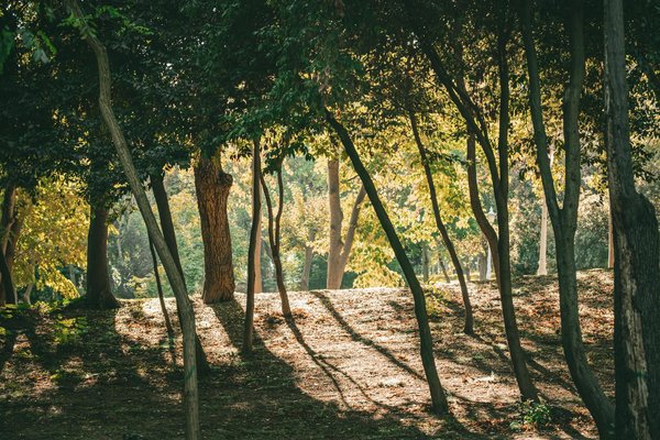 Améliorer ses relations personnelles pour une vie épanouie